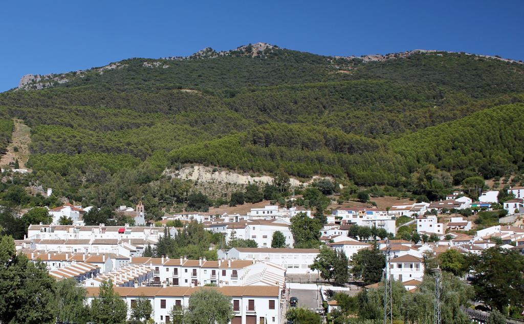 Casa Gil - La Vega Apartamento *