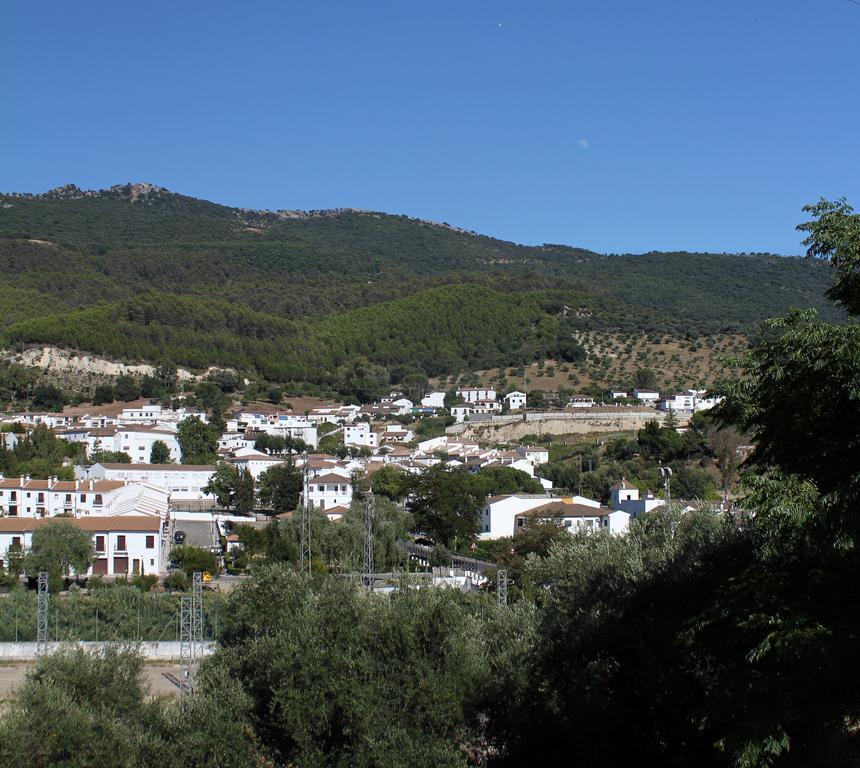 Apartment Casa Gil - La Vega *